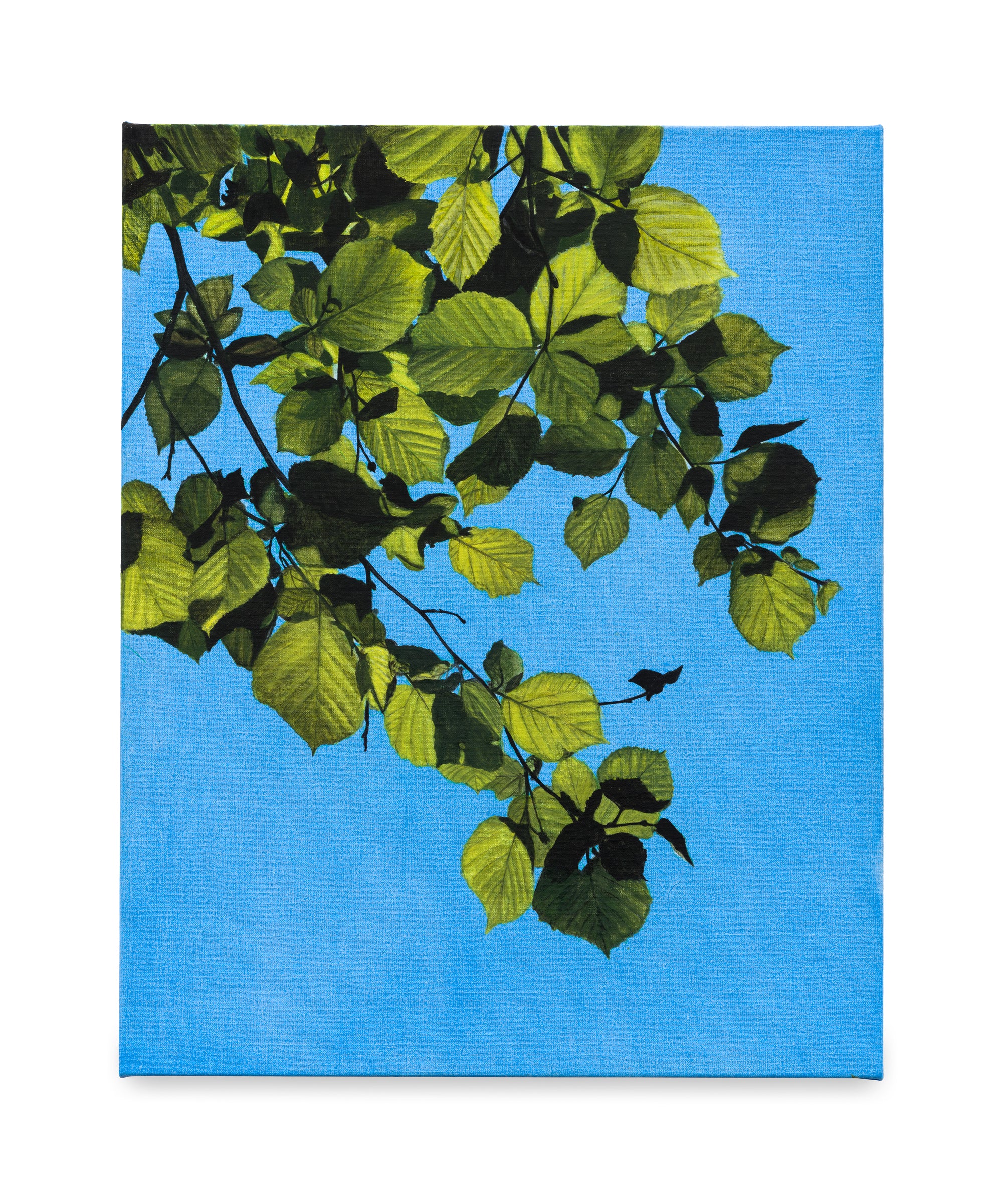Rebecca Partridge | Day Trees (WG IV)
