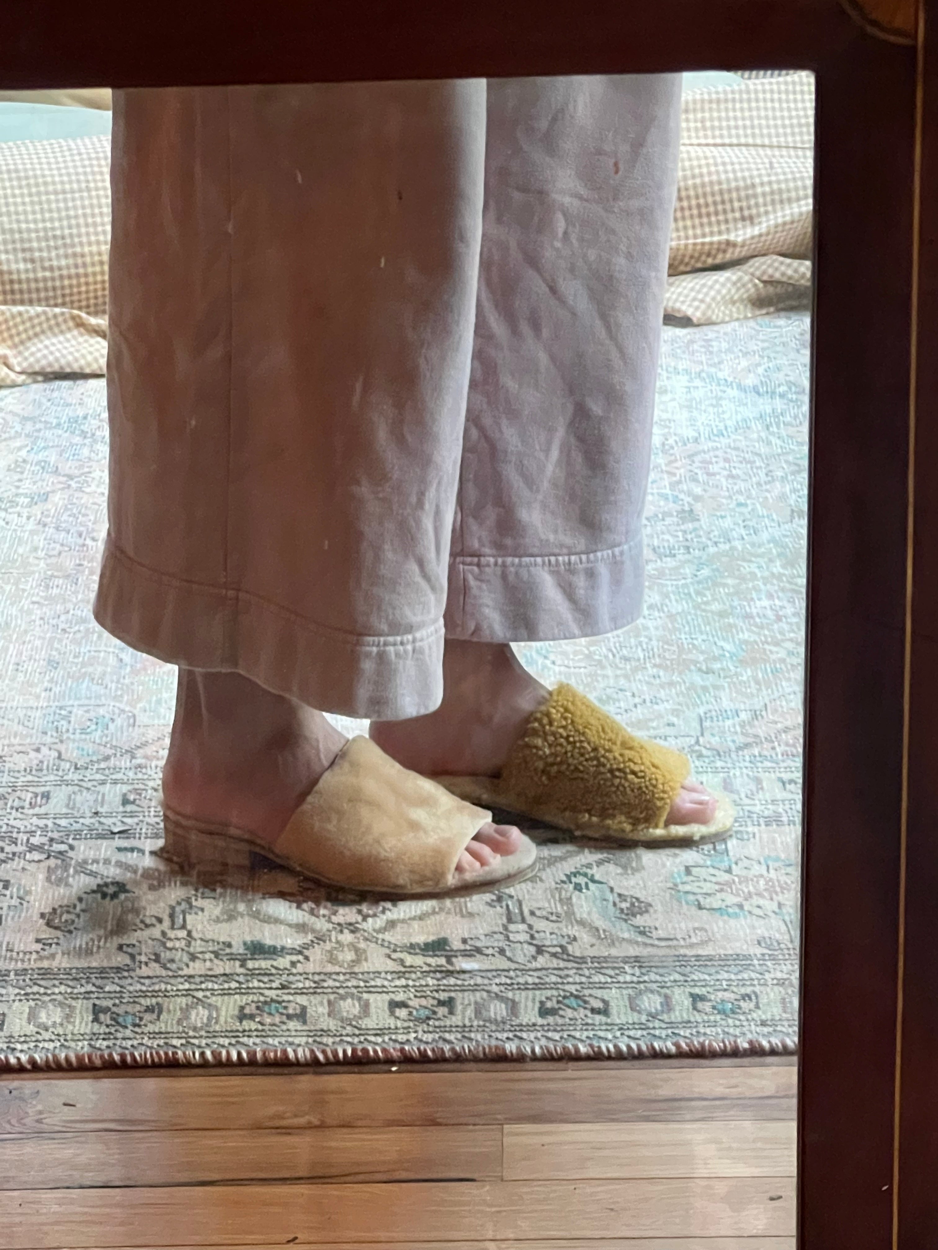 Sheepy Slides by LAURA SCHOORL
