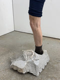 Portrait of a Well-Worn Shoe (Size 43) by SAM FINKELSTEIN