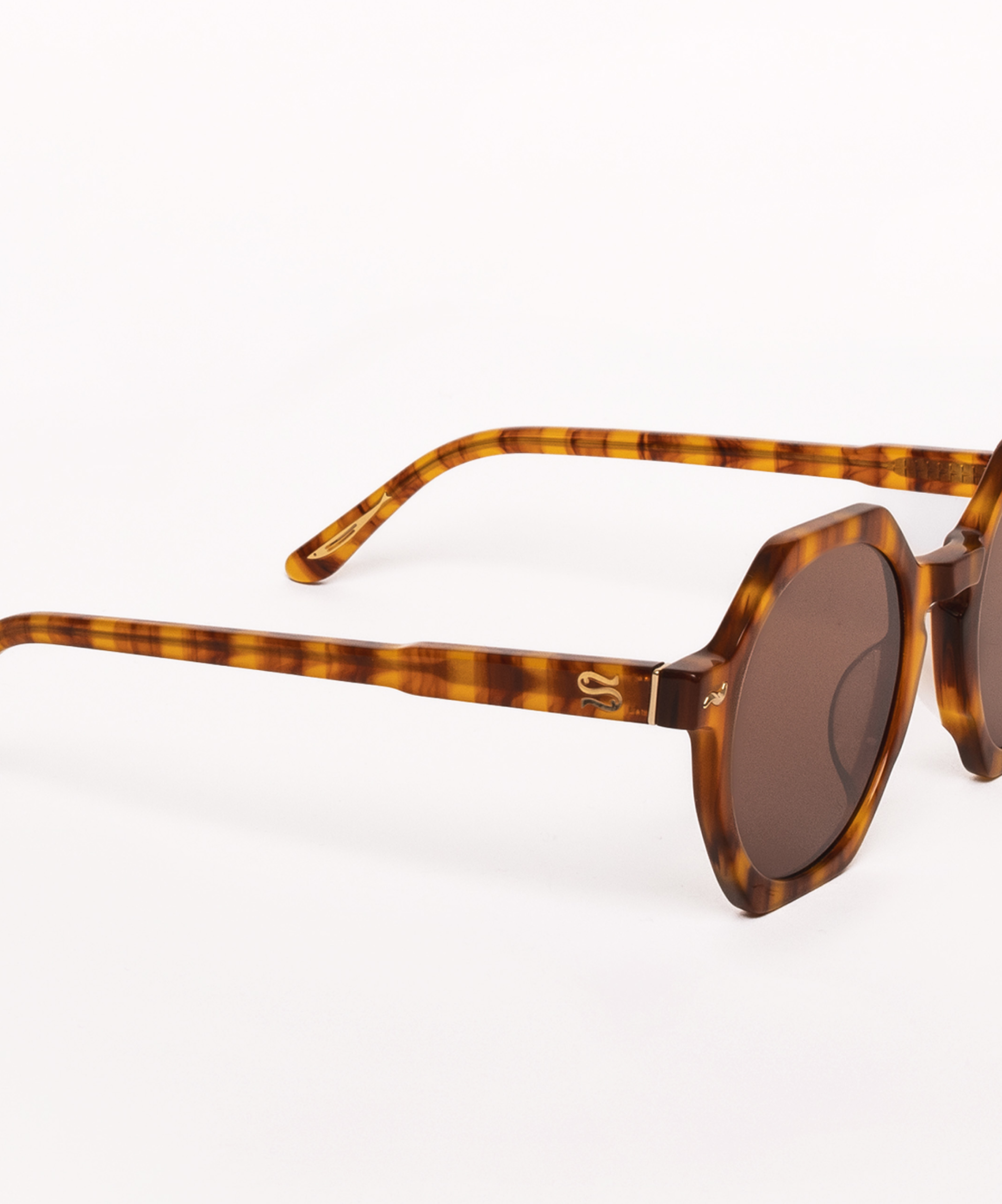 Tortoiseshell sunglasses on a white background