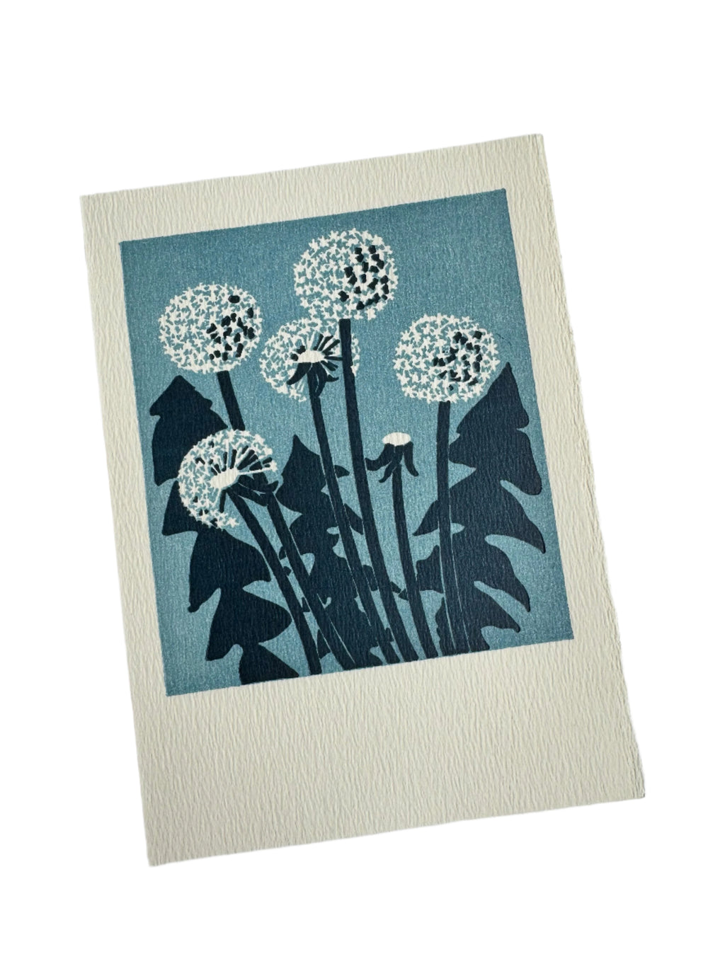 Dandelions