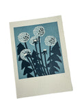 Dandelions