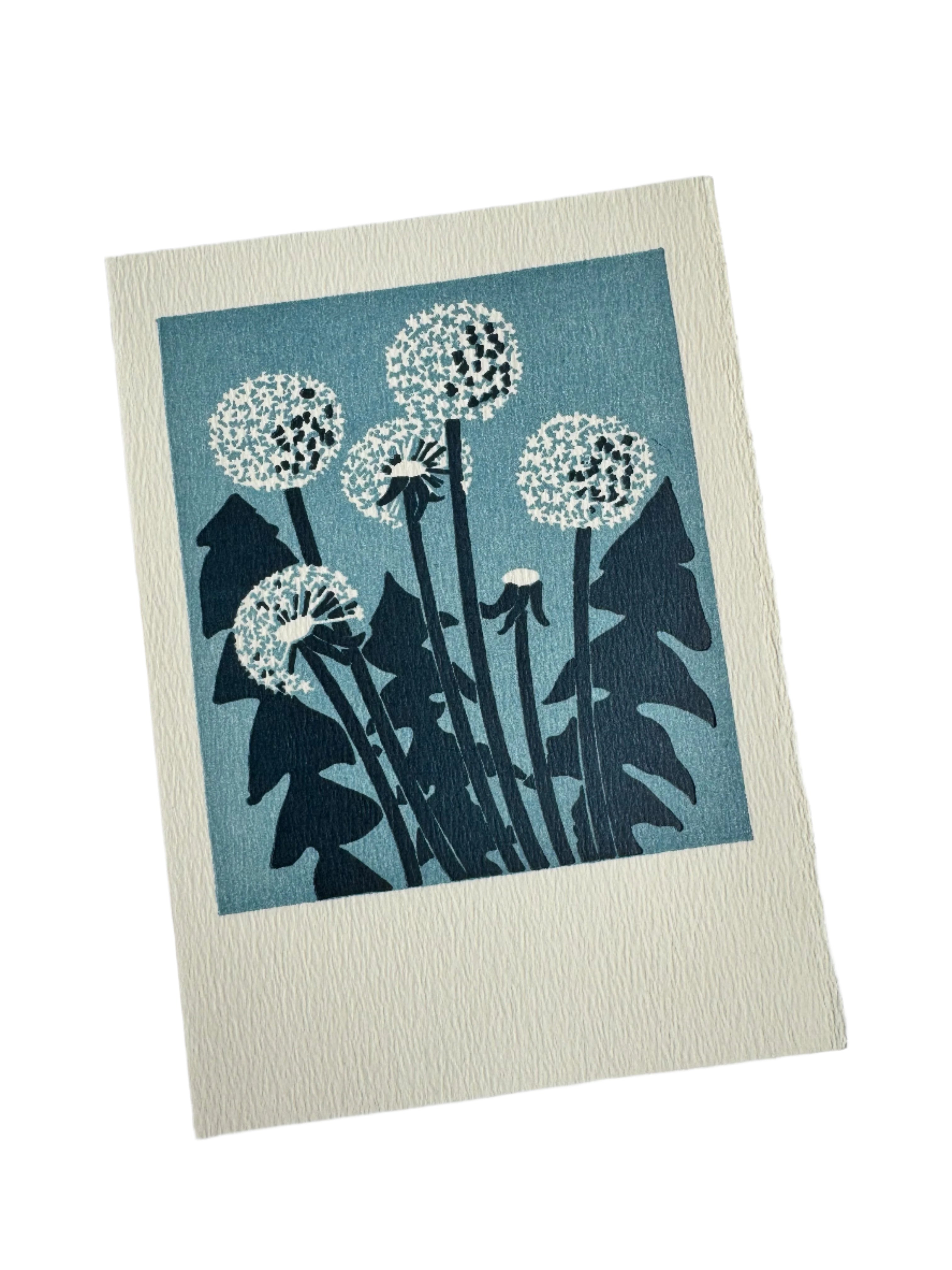 Dandelions