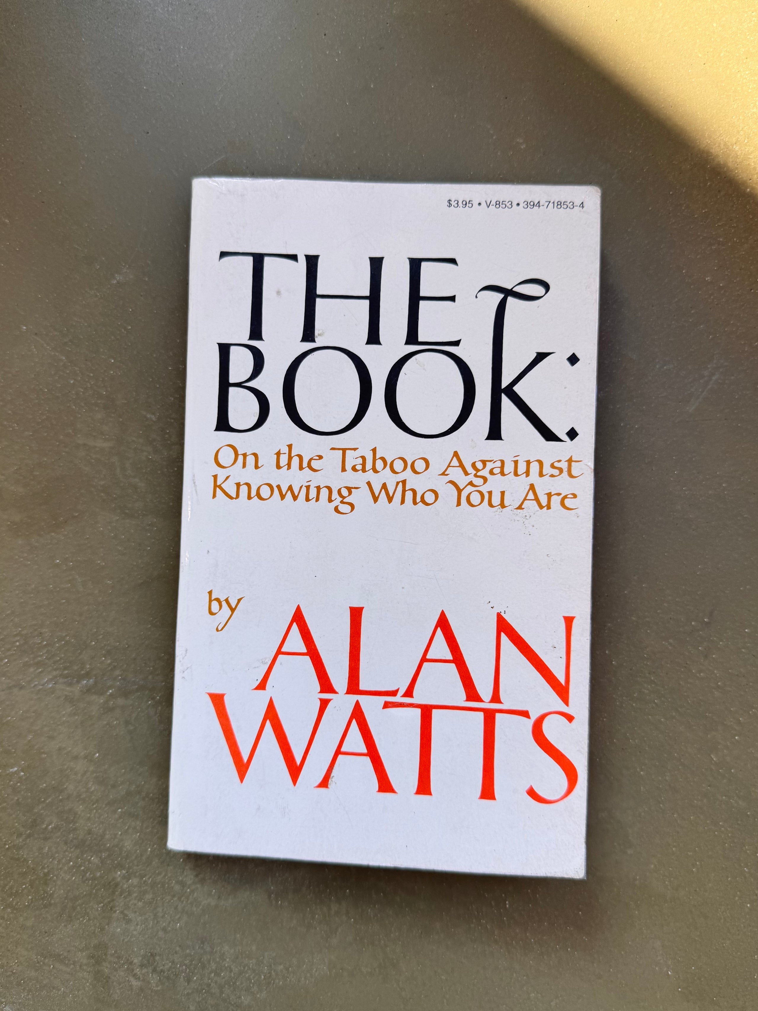 Alan Watts - The Book: On The Taboo of Knowing Who You Are