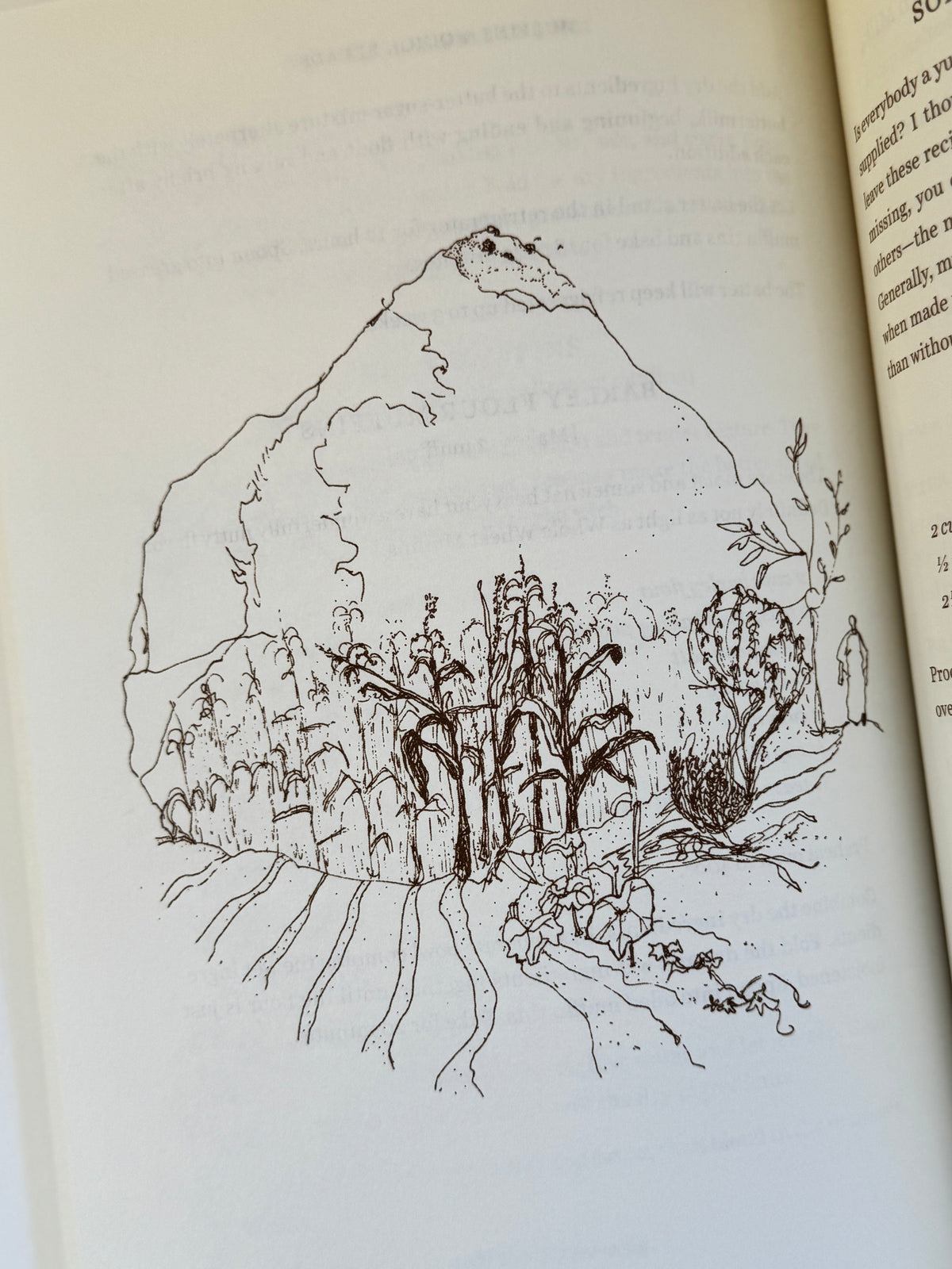 An open book showing a printed black line drawing of a shell-like illustration on the right page, with text visible on the left page.