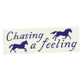 Chasing A Feeling - Bumper Sticker