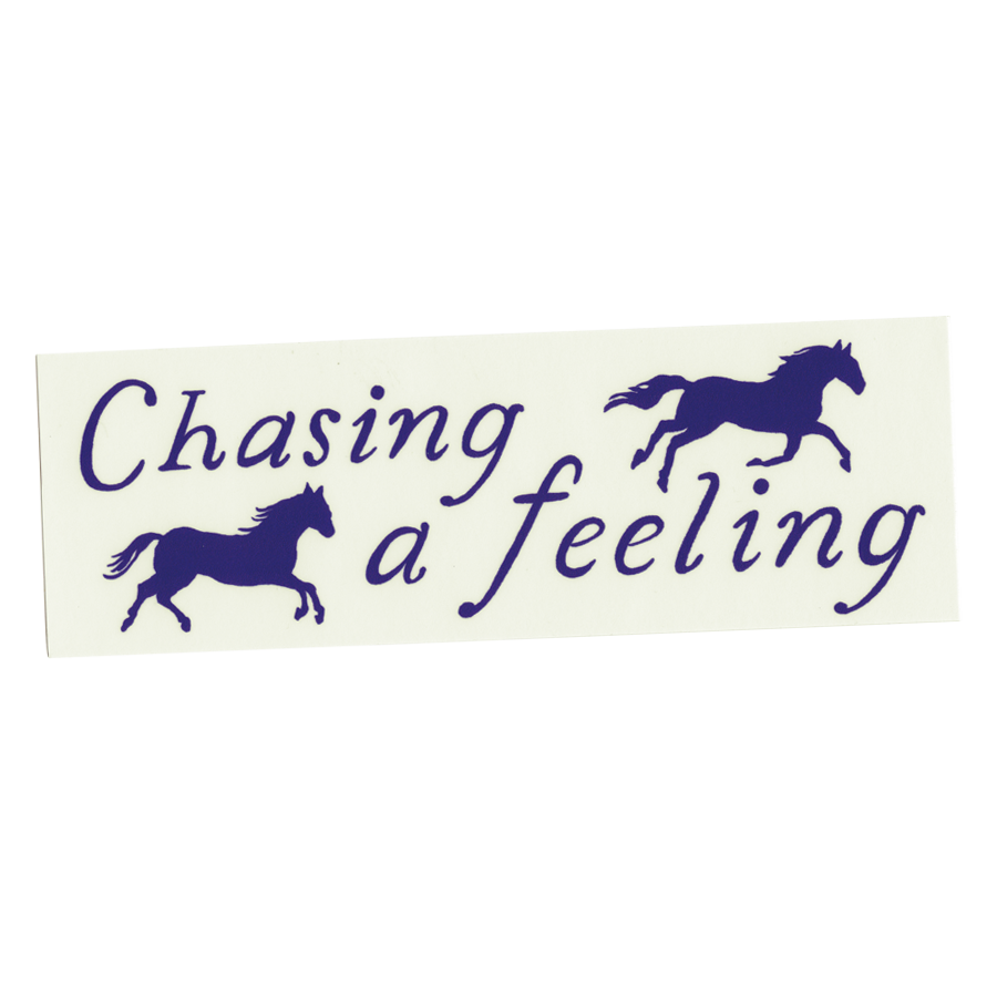 Chasing A Feeling - Bumper Sticker