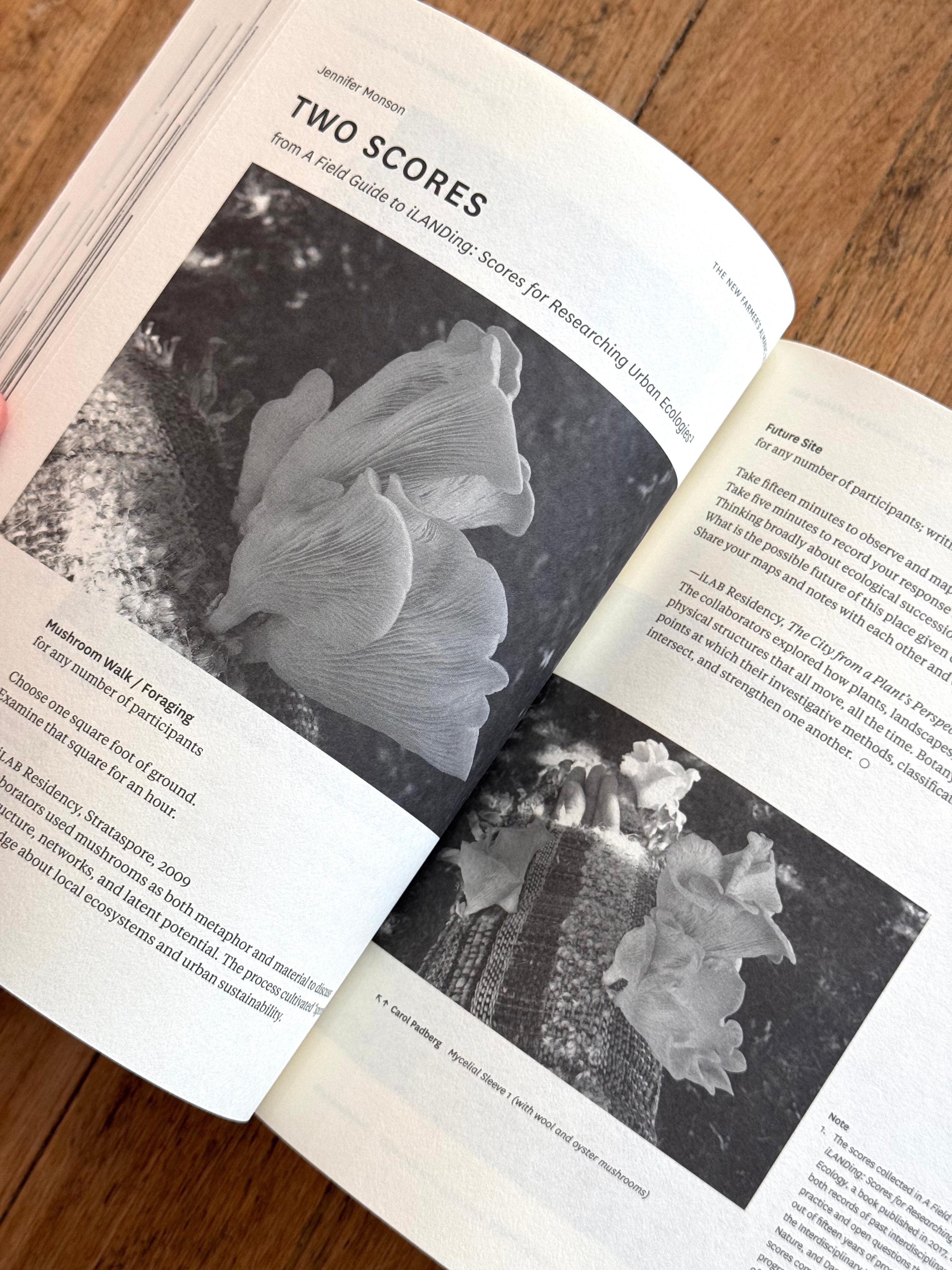 New Farmer's Almanac - Volume VI