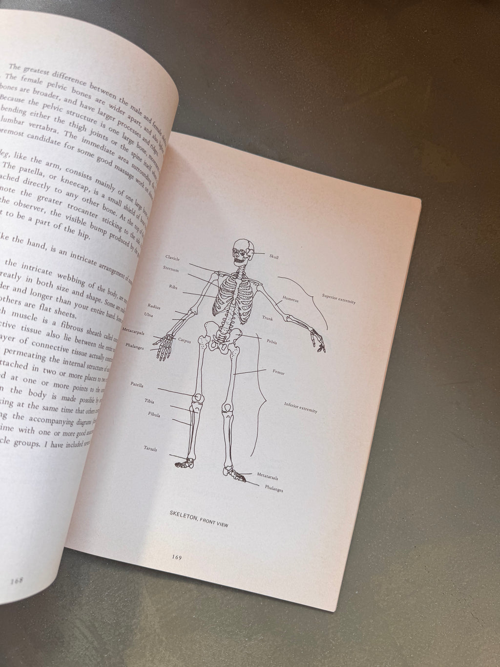 The Massage Book