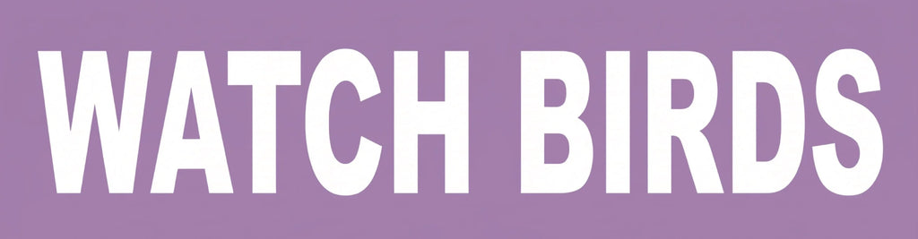 WATCH BIRDS Bumper Sticker