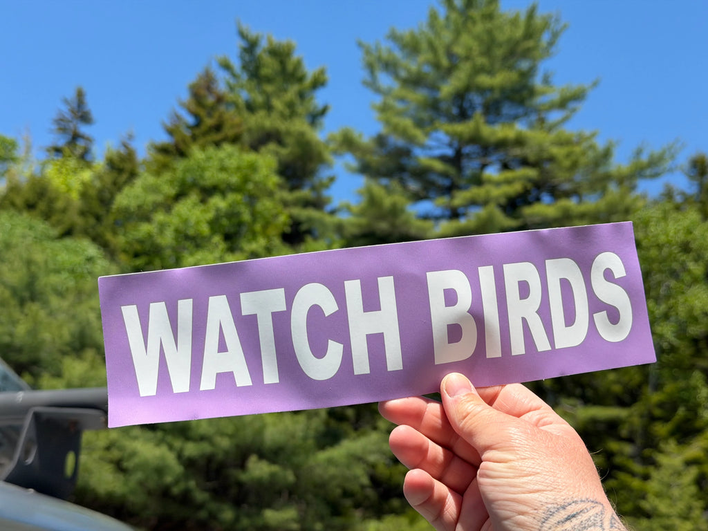 WATCH BIRDS Bumper Sticker