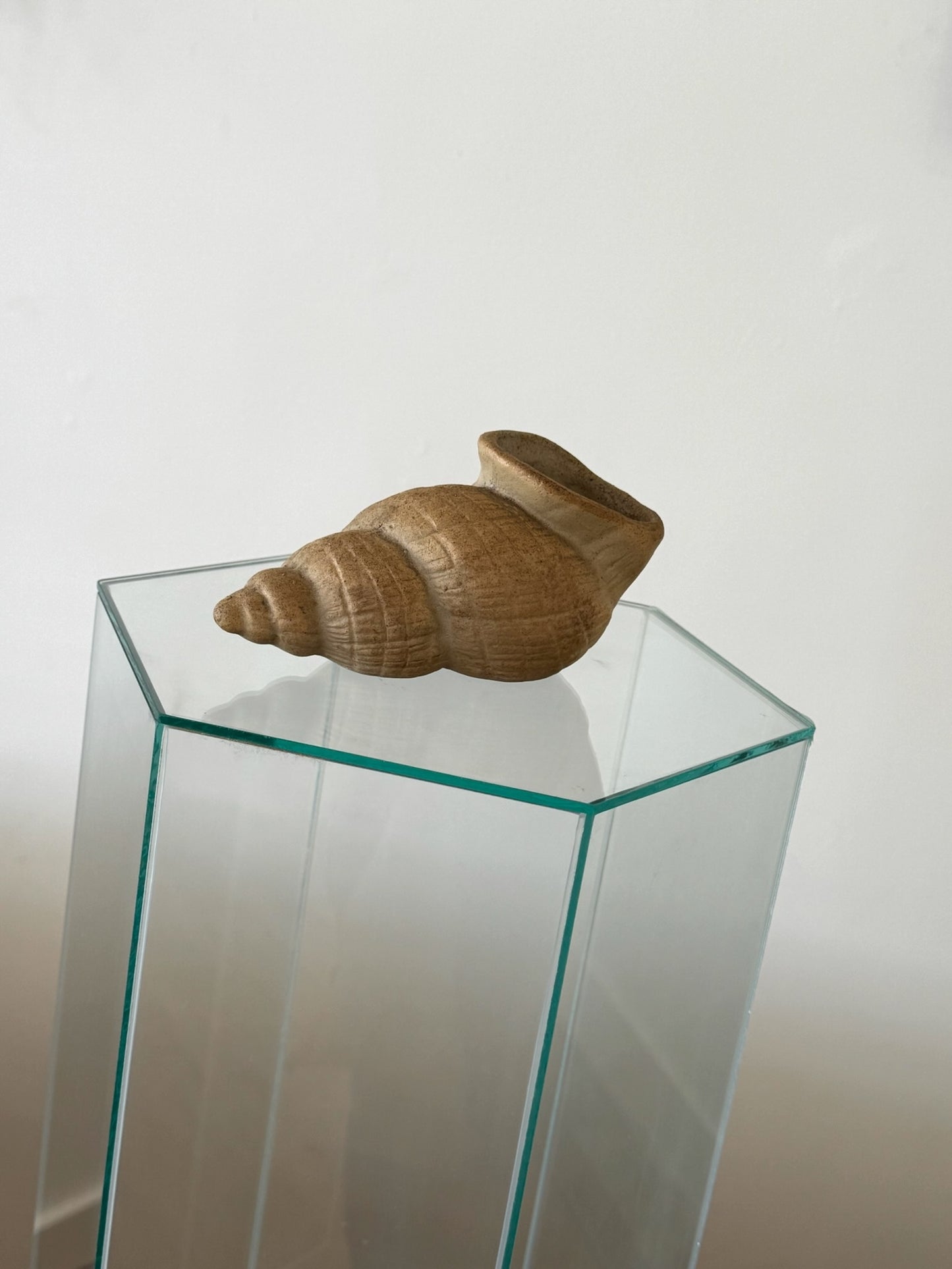 Found Ceramic Snail Object