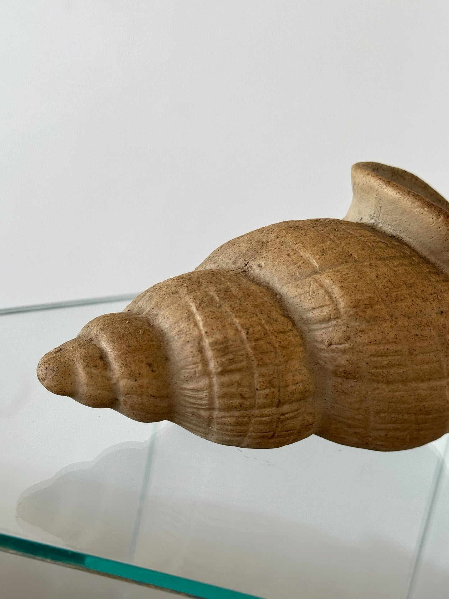 Found Ceramic Snail Object