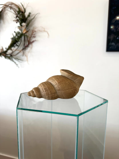 Found Ceramic Snail Object