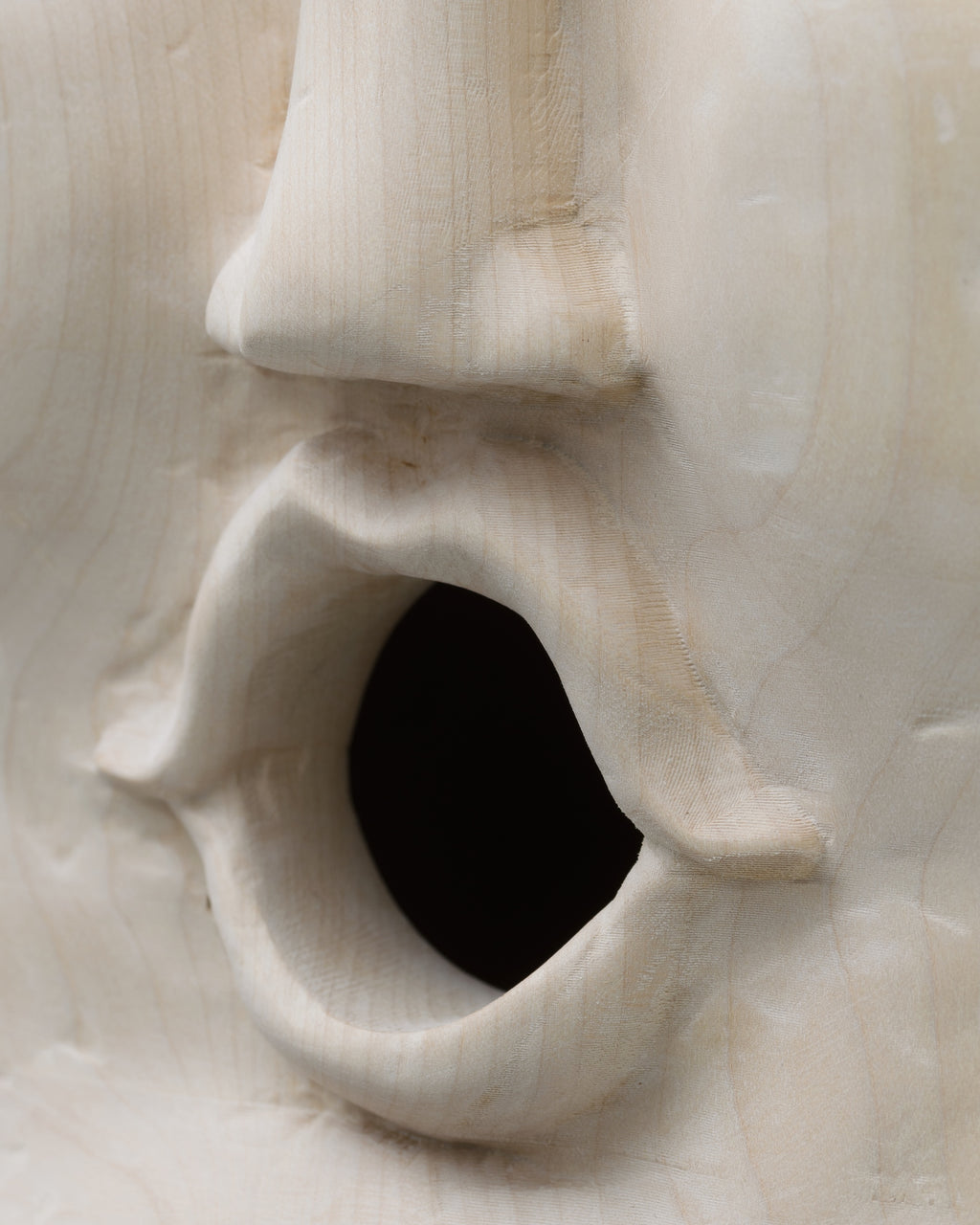 Zephyr (Birdhouse and Bath) by F Taylor Colantonio