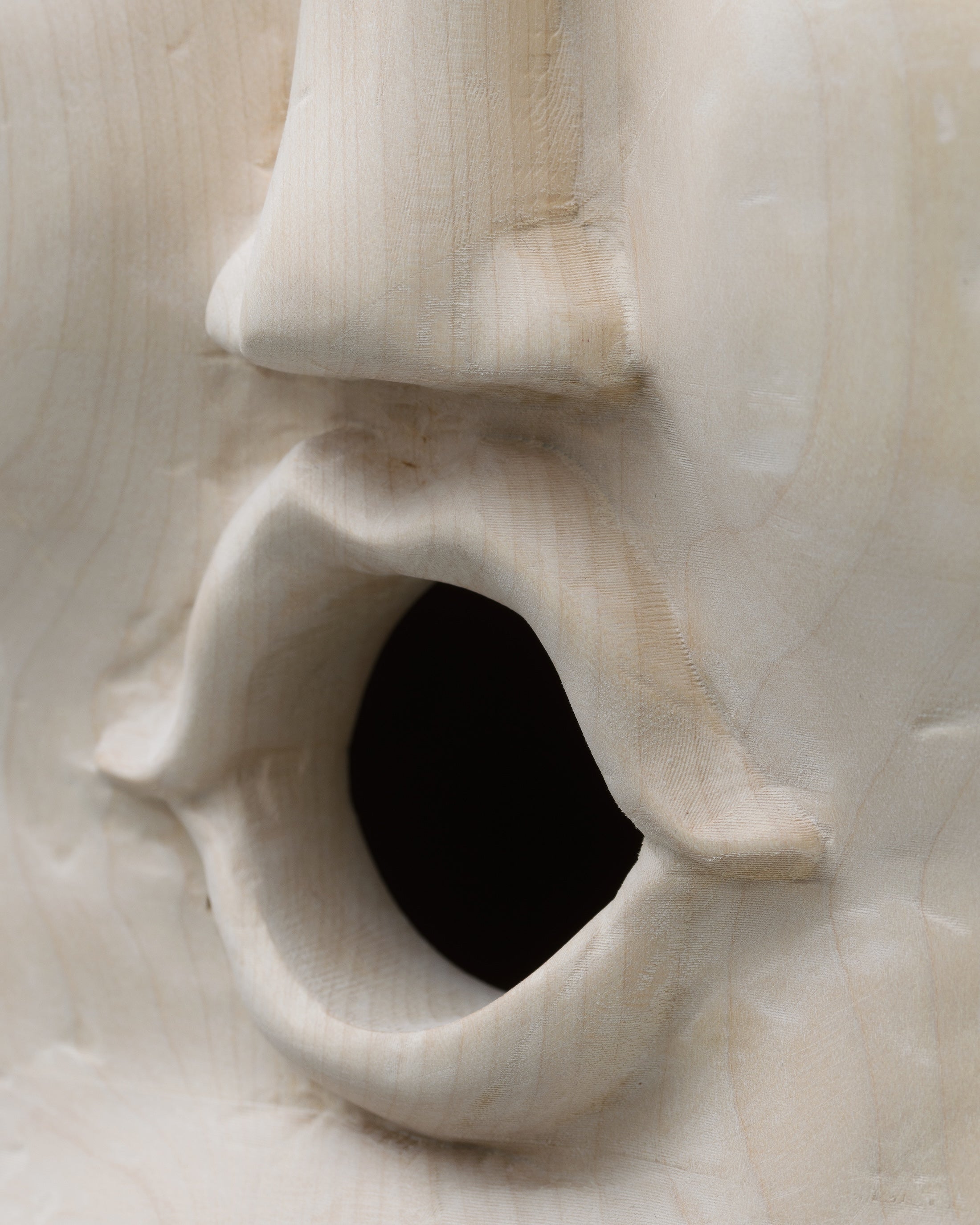 Zephyr (Birdhouse and Bath) by F Taylor Colantonio