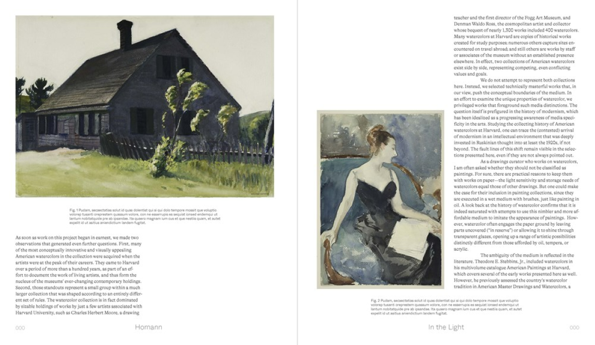 American Watercolors, 1880-1990: Into the Light