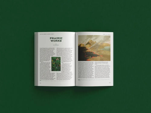 New Farmer's Almanac Volume 7: Premonition