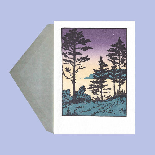 Twilight Sheepscot River