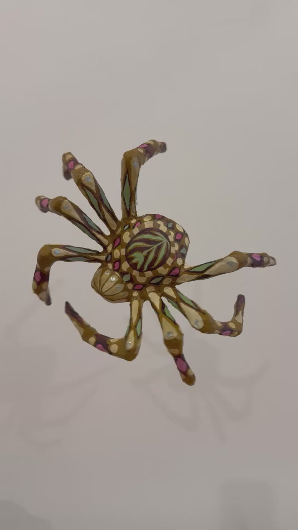 Harlequin Spider