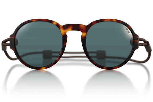 Viale in Tortoise + Polarized Grey Lenses - Regular